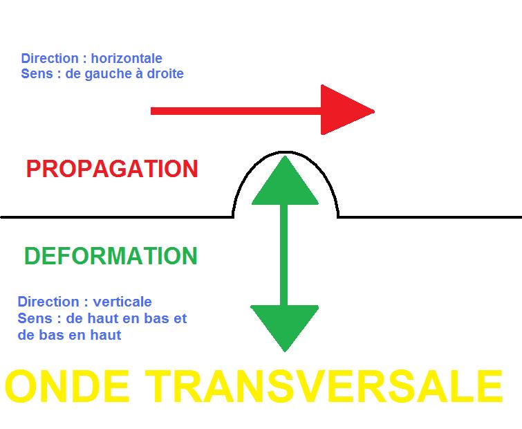 Onde Transeversale